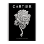 The boxed pack of postcards features Princess Margaret's Rose clip brooch on the cover.